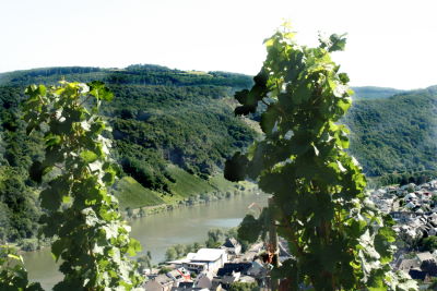 mosel-ubko-400x267